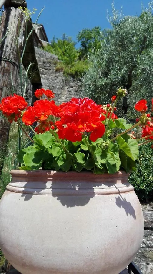 Casina Di Vicchio Apartment Dicomano