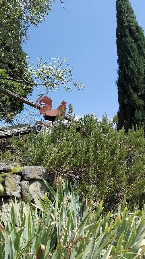 Casina Di Vicchio Apartment Dicomano Italy