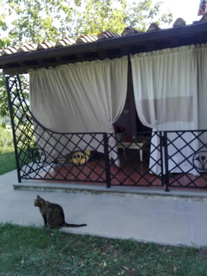 Casina Di Vicchio Apartment Dicomano Italy