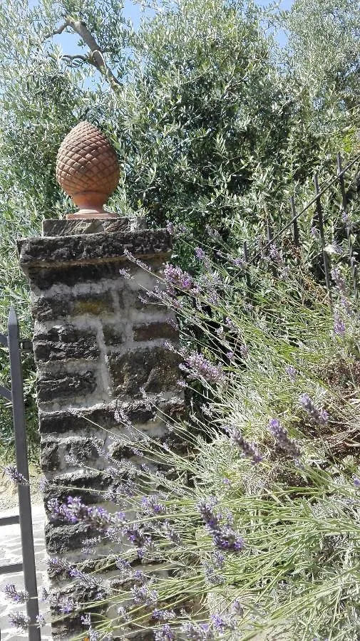 Casina Di Vicchio Apartment Dicomano