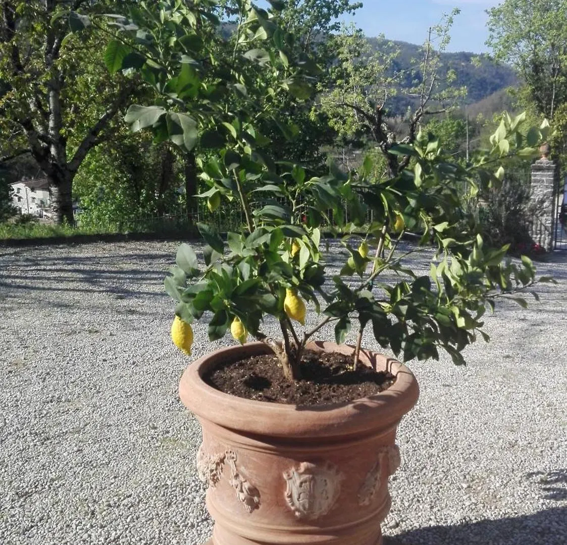 Casina Di Vicchio contacts