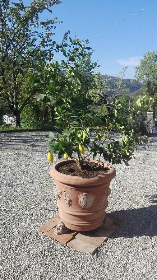 Dicomano Casina Di Vicchio 아파트 0*,  이탈리아