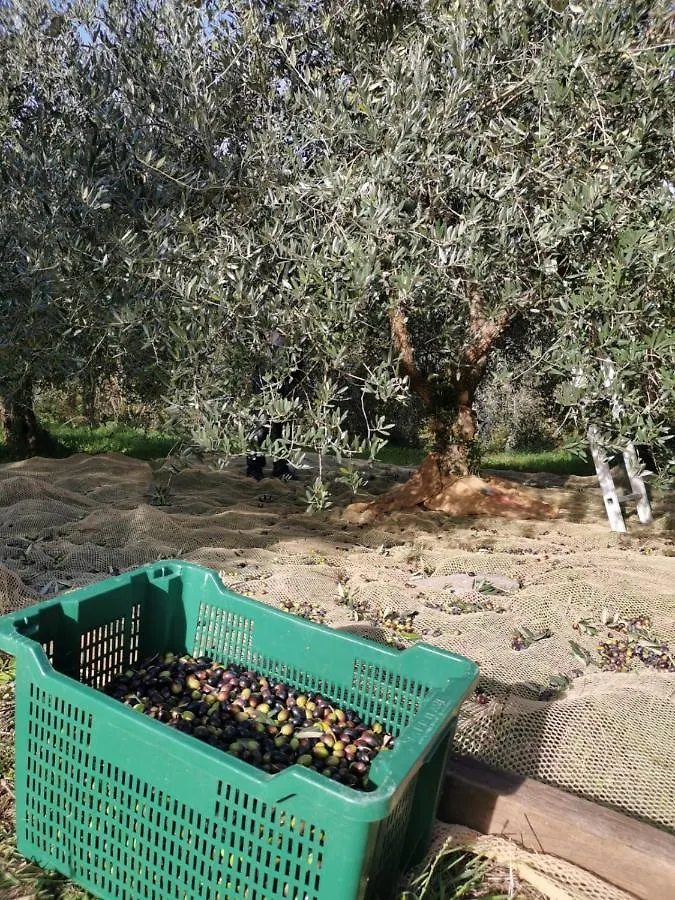 Dicomano Casina Di Vicchio 아파트