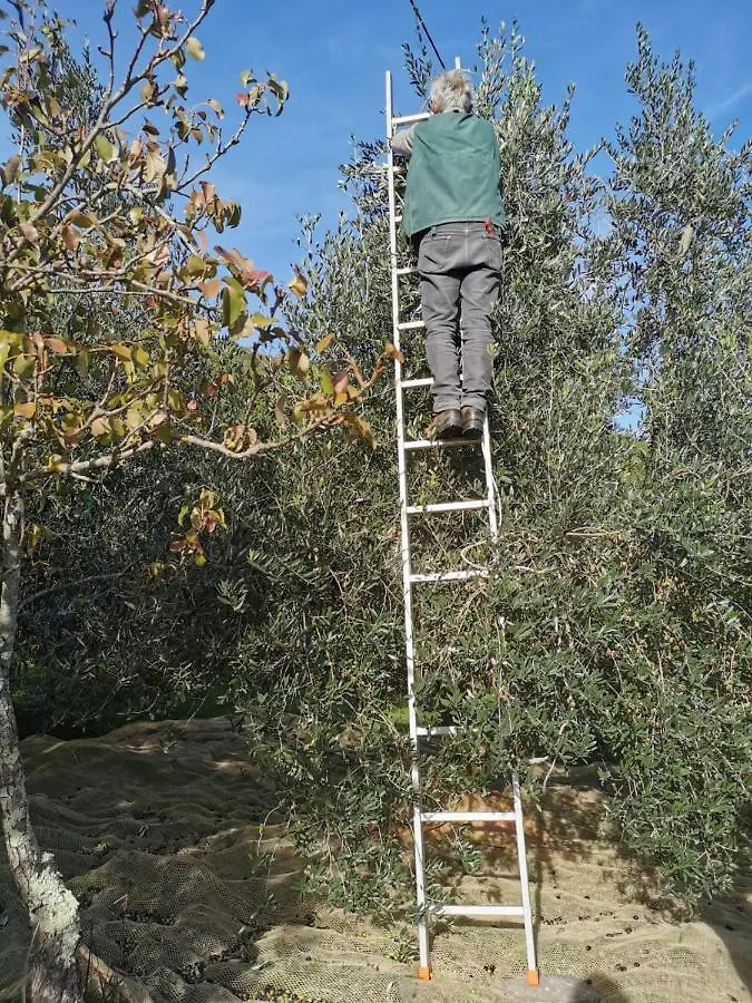 Casina Di Vicchio Apartment Dicomano